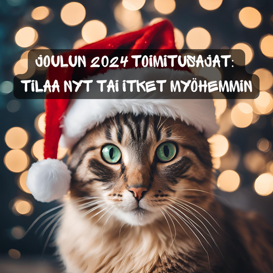 Joulun 2024 toimitusajat: varmista tilauksesi ajoissa!